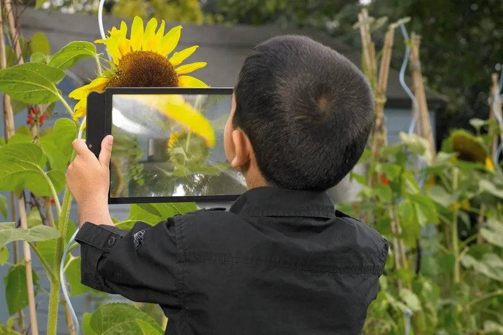 Large Sheet Magnifier | The Dyslexia Shop