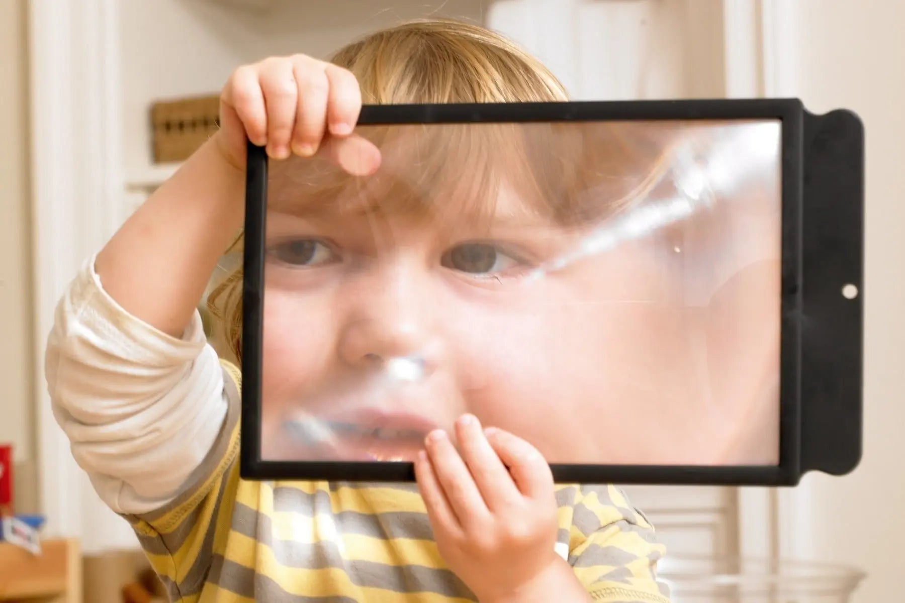 Large Sheet Magnifier | The Dyslexia Shop
