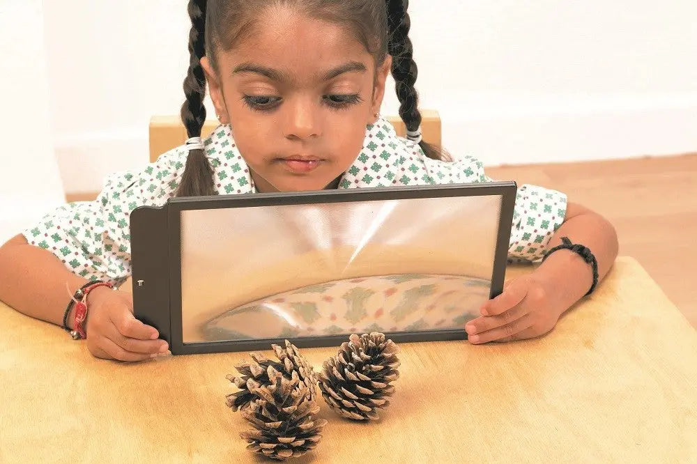 Large Sheet Magnifier | The Dyslexia Shop