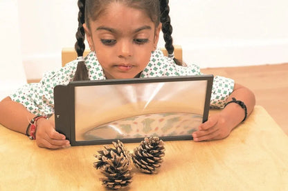 Large Sheet Magnifier | The Dyslexia Shop