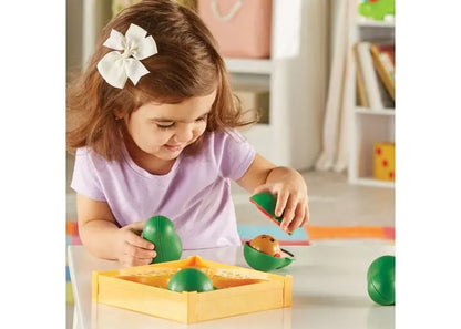 Learn-A-Lot Avocados | The Dyslexia Shop