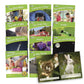 Letters & Sounds Phase 4 Set 2 Non-Fiction | The Dyslexia Shop