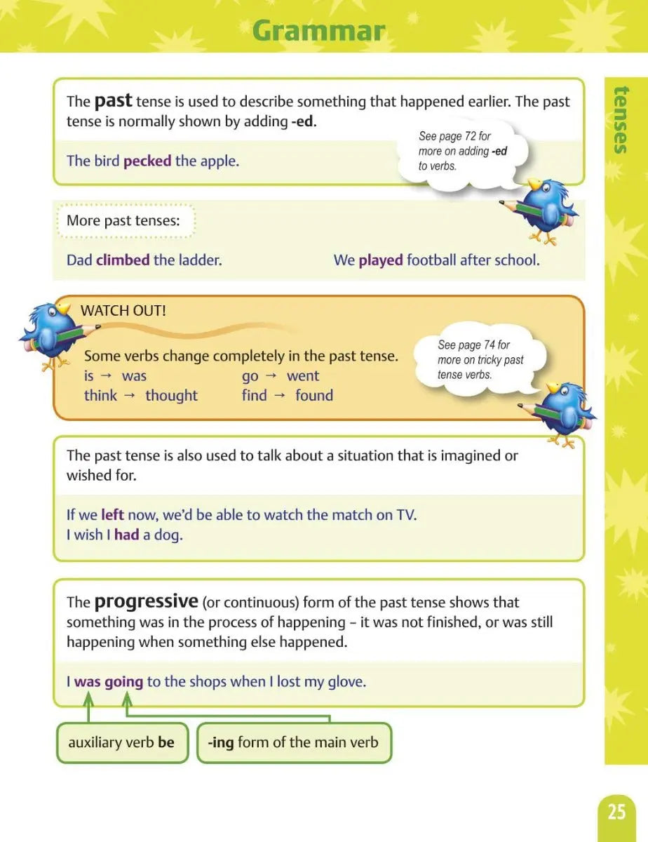 Oxford Primary Grammar Punctuation and Spelling Dictionary | The Dyslexia Shop