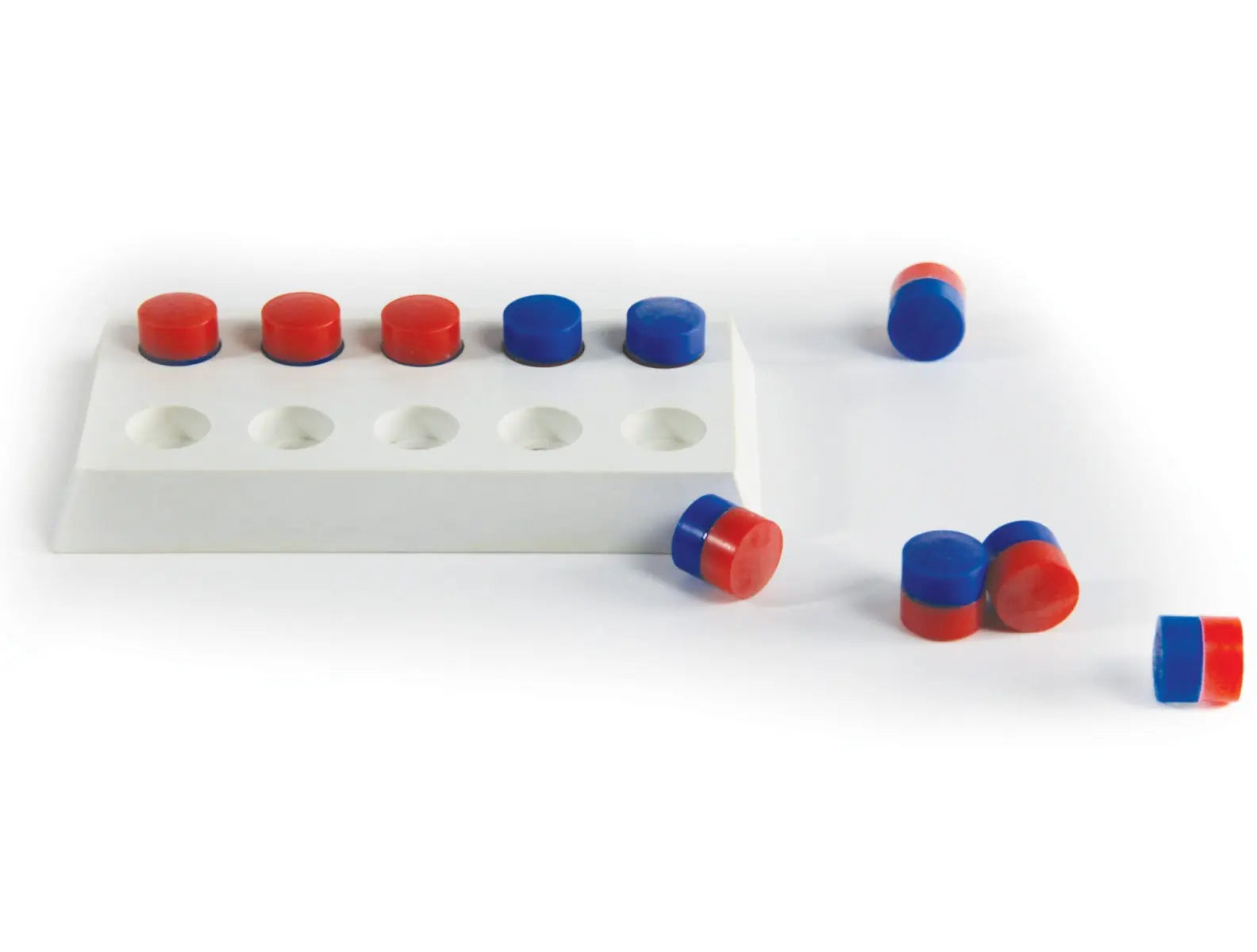 PEG BOARD TENS FRAME | The Dyslexia Shop