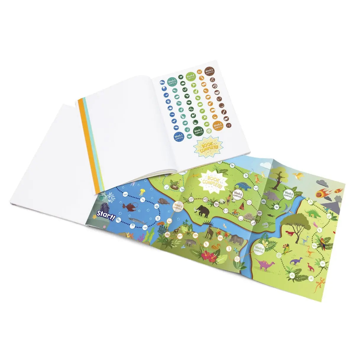 Phase 4 Blends Workbook | The Dyslexia Shop
