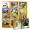 Science Decodables Phase 2 Non-Fiction | The Dyslexia Shop