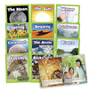 Science Decodables Phase 4 Non-Fiction | The Dyslexia Shop