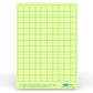 Show-Me - A4 Gridded Tinted Drywipe Boards | The Dyslexia Shop