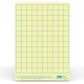 Show-Me - A4 Gridded Tinted Drywipe Boards | The Dyslexia Shop