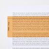 Simplex Reading Aid Ruler - 210x80mm - The Dyslexia Shop