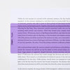 Simplex Reading Aid Ruler - 210x80mm - The Dyslexia Shop