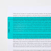 Simplex Reading Aid Ruler - 210x80mm - The Dyslexia Shop