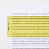 Simplex Reading Aid Ruler - 210x80mm - The Dyslexia Shop