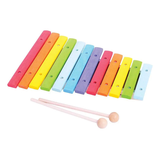 Snazzy Xylophone -BigJigs | The Dyslexia Shop