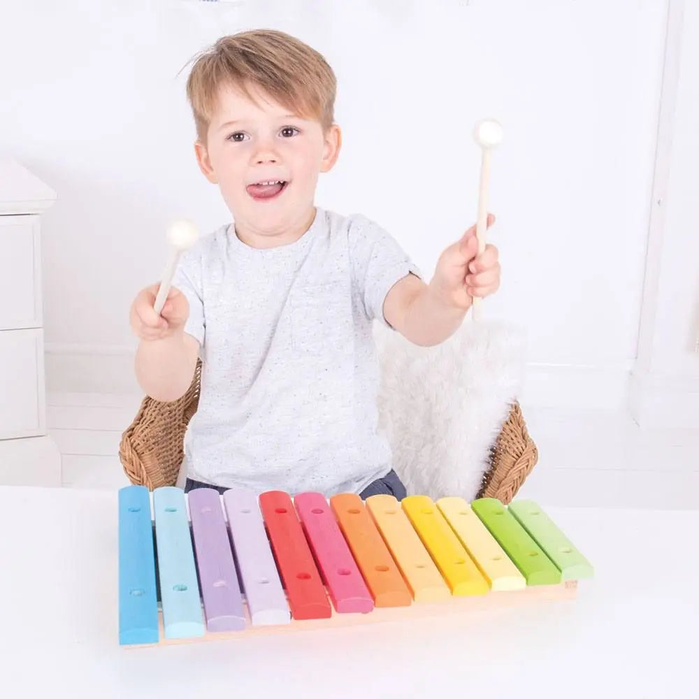 Snazzy Xylophone -BigJigs | The Dyslexia Shop