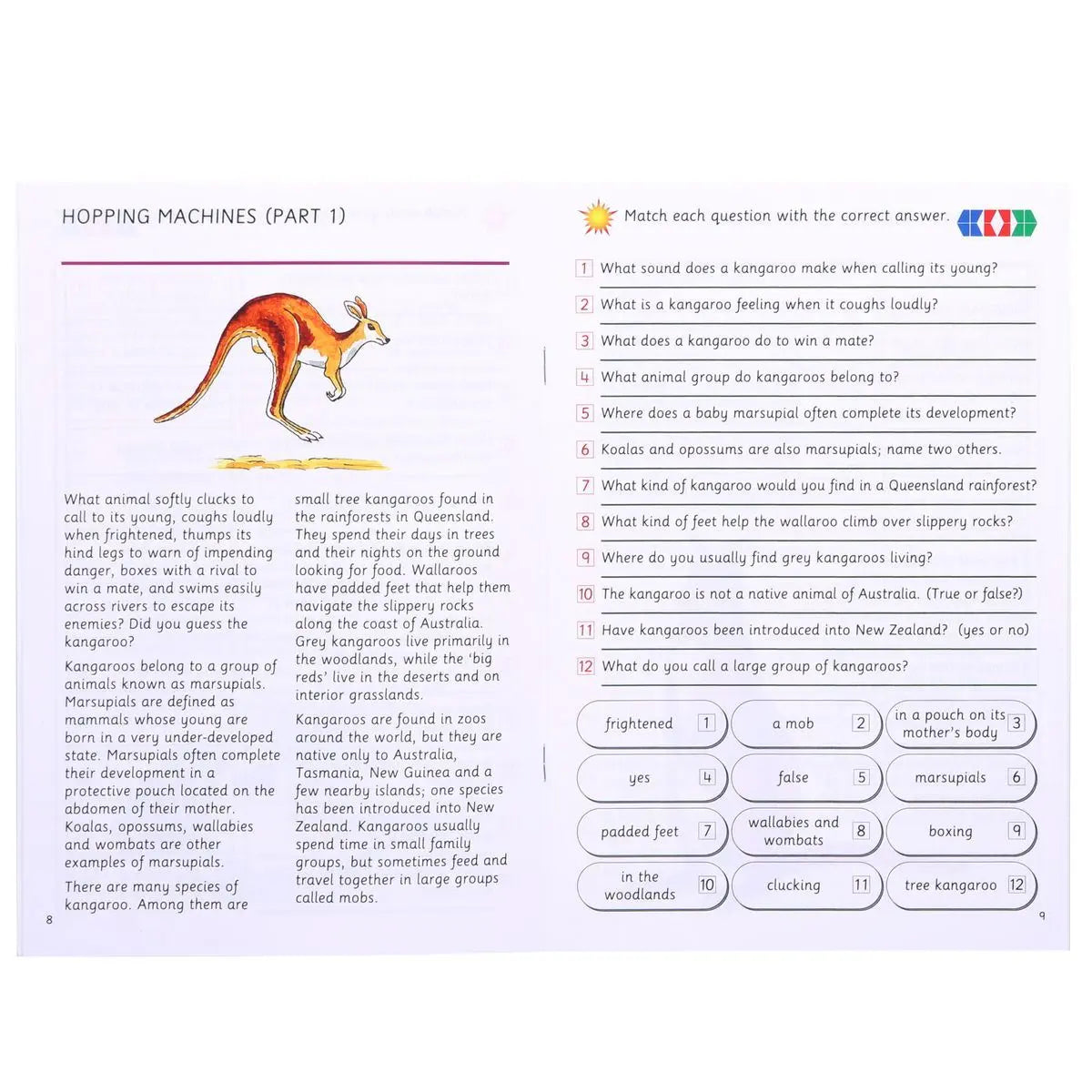 Stile Understanding and Interpreting Texts - Books 1-12 | The Dyslexia Shop