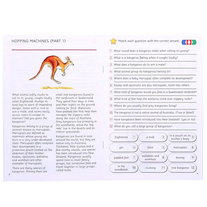Stile Understanding and Interpreting Texts - Books 1-12 | The Dyslexia Shop