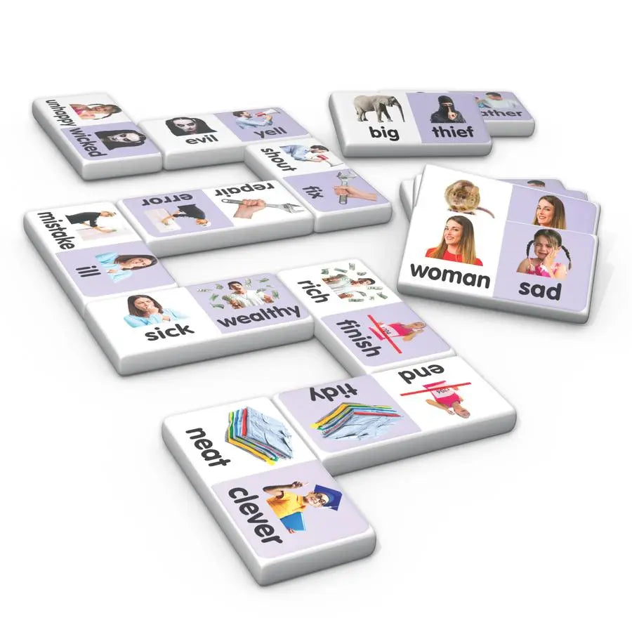 Synonyms Dominoes | The Dyslexia Shop