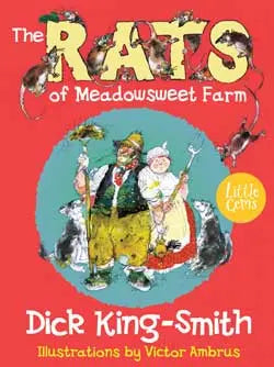 The Rats of Meadowsweet Farm | The Dyslexia Shop