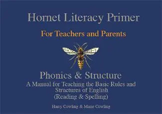 The Word Wasp Hornet Literacy Primer | The Dyslexia Shop