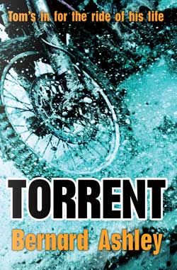 Torrent | The Dyslexia Shop