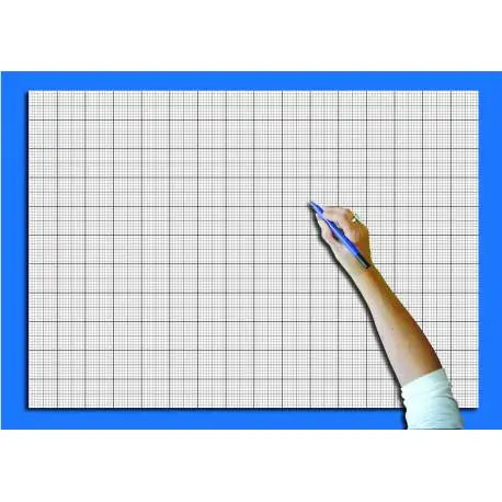 WRITE 'N' WIPE POSTER-PEN - GRAPH | The Dyslexia Shop