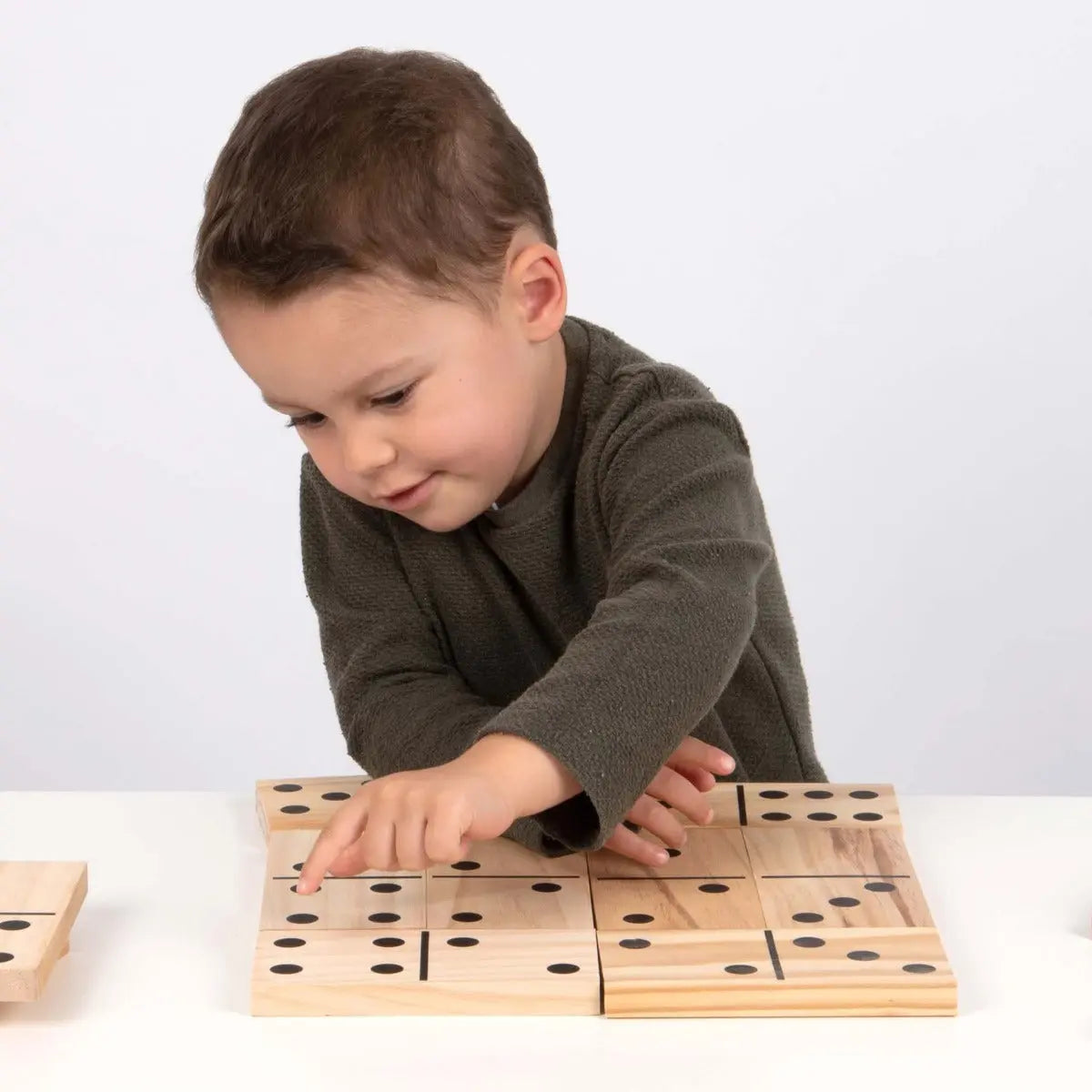 Wooden Dominoes | The Dyslexia Shop