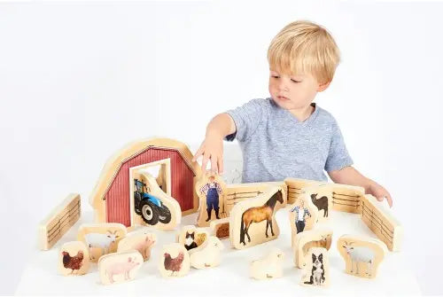 Wooden Farm Blocks - Pk25 | The Dyslexia Shop