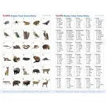 Wooden Forest Animal Blocks - Pk30 | The Dyslexia Shop