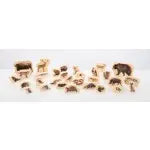 Wooden Forest Animal Blocks - Pk30 | The Dyslexia Shop