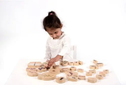Wooden Minibeast Blocks - Pk33 | The Dyslexia Shop