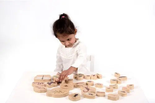 Wooden Minibeast Blocks - Pk33 | The Dyslexia Shop