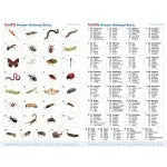 Wooden Minibeast Blocks - Pk33 | The Dyslexia Shop